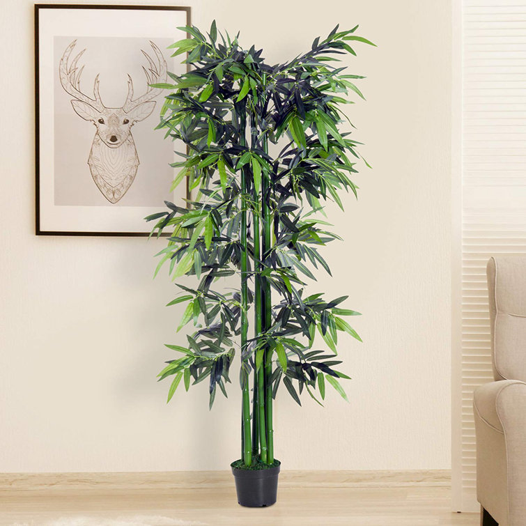 Bay Isle Home Floor Bamboo Tree in Pot & Reviews Wayfair.co.uk